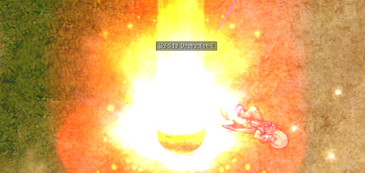 ꡼ No.015Υͥ / PR֥ۡ饰ʥ饤פRWCʬ롪 ǡۿΩġλפѸҲ𤷤RWC2013塞ɡפϤ