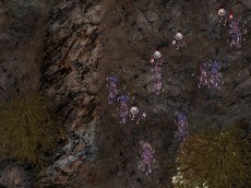 ���������꡼ No.008�Υ���ͥ������ / �֥饰�ʥ�������饤��ס����ָ���̵�����ɡ�Breidablik�פ��緿���åץǡ��ȡ�Nameless �� Stars�פ���������