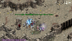 ���������꡼ No.006�Υ���ͥ������ / �֥�͡�����ס����٥�ȡȥ�ꥨ�Τ�����Ĺ��1���ɤ�2��15������