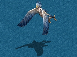 ���������꡼ No.004�Υ���ͥ������ / �֥�͡�����ס����åץǡ��Ȥ������»ܡ��͡��ߥ󥰥���ƥ��Ȥ˻��ä��褦