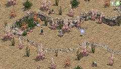 ���������꡼ No.002�Υ���ͥ������ / �֥�͡�����ס���ǧ�ͥåȥ��ե��ˡֺǲ̤Ƥο��¡פȡֺǲ̤Ƥι���פ�����