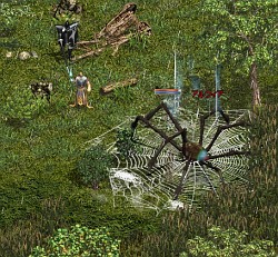 ꡼ No.010 | ǥʥȤޤǤä2!?֥͡ץåץǡȡַͤפθɤˤĤƳȯԤ˥󥿥ӥ塼