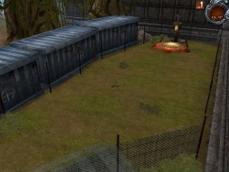 ꡼ No.006 | ֥ʥ륫 NEOסåץǡȤо줹뿷²ʤɤξܺ٤