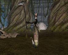 ꡼ No.006Υͥ / ֥ʥ륫NEOץåץǡȡֵˤηѾԡפ»ܤˡ²֥ѥפĹٱ礹륭ڡ¿