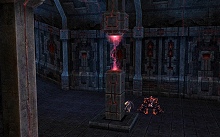 ������#009�Υ���ͥ���/�֥�͡�����II�׼������åץǡ��ȤǤο����ꥢ�������