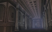 ������#016�Υ���ͥ���/�֥�͡�����II�׼������åץǡ��ȤǤο����ꥢ�������