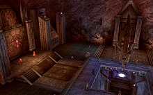 ������#017�Υ���ͥ���/�֥�͡�����II�׼������åץǡ��ȤǤο����ꥢ�������