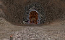 ������#018�Υ���ͥ���/�֥�͡�����II�׼������åץǡ��ȤǤο����ꥢ�������