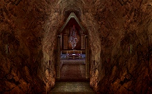 ������#019�Υ���ͥ���/�֥�͡�����II�׼������åץǡ��ȤǤο����ꥢ�������