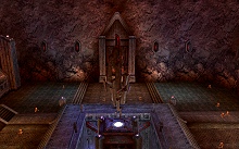 ������#020�Υ���ͥ���/�֥�͡�����II�׼������åץǡ��ȤǤο����ꥢ�������