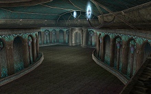 ������#022�Υ���ͥ���/�֥�͡�����II�׼������åץǡ��ȤǤο����ꥢ�������