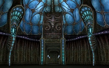 ������#033�Υ���ͥ���/�֥�͡�����II�׼������åץǡ��ȤǤο����ꥢ�������