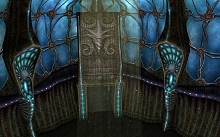 ������#034�Υ���ͥ���/�֥�͡�����II�׼������åץǡ��ȤǤο����ꥢ�������