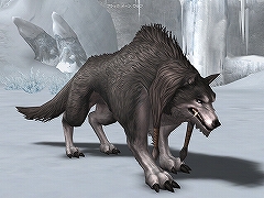 ������#002�Υ���ͥ���/�֥�͡�����II�׼������åץǡ��Ȥˤ�����֥ڥåȡפξ��󤬸�����