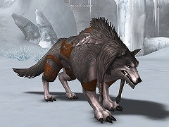 ������#003�Υ���ͥ���/�֥�͡�����II�׼������åץǡ��Ȥˤ�����֥ڥåȡפξ��󤬸�����