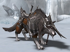 ������#005�Υ���ͥ���/�֥�͡�����II�׼������åץǡ��Ȥˤ�����֥ڥåȡפξ��󤬸�����