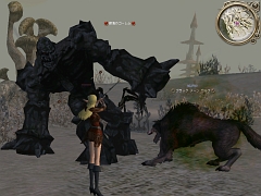 ������#006�Υ���ͥ���/�֥�͡�����II�׼������åץǡ��Ȥˤ�����֥ڥåȡפξ��󤬸�����