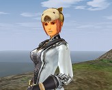 画像集#004のサムネイル/「リネージュII」アイテムを期間限定販売,贈り物にも