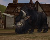 ������#016�Υ���ͥ���/�֥�͡�����II�ס������ʹ��ե����ڡ����»�