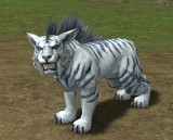 ������#007�Υ���ͥ���/�֥�͡�����II�פǼ���ͽ��μ������åץǡ��ȡ֥ե������ȥ������� Plus�ס���������俷�ѿ��Τ�¸�ߤʤɤ����餫��