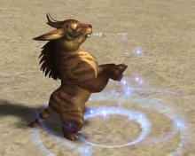 ������#016�Υ���ͥ���/�֥�͡�����II�סȥե������ȥ������� Plus��³�󡧿������ƥ��ڥåȤʤ�