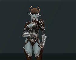 ���������꡼ No.004�Υ���ͥ������ / �֥�͡�����II�ץإ����������꡼�ˡ֥���ޥե� ����åספ��о�