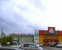 ���������꡼ No.002�Υ���ͥ������ / ���̡�����������ѥ󤬹Ԥ���5�Ƥ�11��22���˻��ڤǳ���