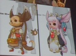 画像ギャラリー No.015のサムネイル画像 / 「リネージュII」次期大型アップデートは4月! 2009年の2大ニュースが早くも発表された「エヌ・シー・ジャパンが行く! in 東京」レポート