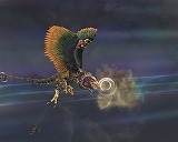 ������#037�Υ���ͥ���/���������椬����ء����֥�͡�����II�ס��������åץǡ��ȡ�ŷ�����Ƽԡ׶�����������