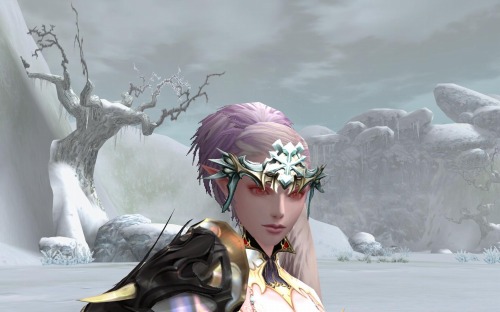 ���������꡼ No.005�Υ���ͥ������ / �֥�͡�����II�׶˴��⡼�ɤǥե���ǽ���ݤ��ȥ����ƥब