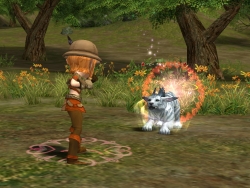 ���������꡼ No.004�Υ���ͥ������ / �֥�͡�����II 6��ǯ��ǰ�����ڡ���ס����ߥ����Ȥ򥪡��ץ�������ư������ƥ��٥�Ȥ�6��22�����