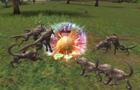 ���������꡼ No.003�Υ���ͥ������ / �֥�͡�����II�ס����������Ƥƥ����ƥ��������褦