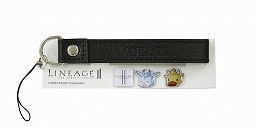 画像ギャラリー No.002のサムネイル画像 / 「リネージュ2 クロニクルス マスターズキット」は,MMORPG「リネージュII」の次期アップデート内容と各種特典アイテムがセットになったパッケージ