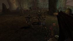 ���������꡼ No.004�Υ���ͥ������ / �֥�͡�����II�ץ��åץǡ��ȡ֥����˥��륹�פǤϡ��ɥ饴��Х졼��������˥塼���롣�����ʥɥ饴��Х졼���ͻҤ��ǧ���褦