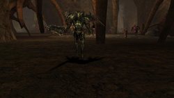 ���������꡼ No.005�Υ���ͥ������ / �֥�͡�����II�ץ��åץǡ��ȡ֥����˥��륹�פǤϡ��ɥ饴��Х졼��������˥塼���롣�����ʥɥ饴��Х졼���ͻҤ��ǧ���褦