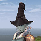 ���������꡼ No.023�Υ���ͥ������ / �֥�͡�����2�ס����󥯥�����֥ȥ쥸�㡼�֥å���ȯ�䵭ǰ�����ڡ��󳫺�