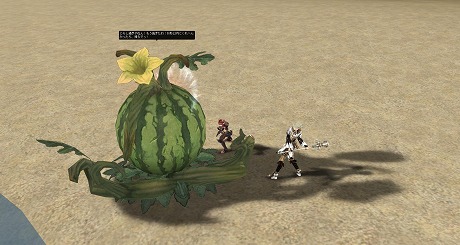 画像ギャラリー No.002のサムネイル画像 / 「リネージュ2」,新たな物語への布石となる大型アップデート「Sign of Destruction」を本日実施。記念キャンペーンも開催中