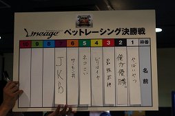 ꡼ No.008Υͥ / ֥ȥܥåĥ2013׵ԲΡ֥͡ס֥͡2ץ٥Ȥݡȡ̲ץ쥤䡼4Gamerŵƥץ쥼