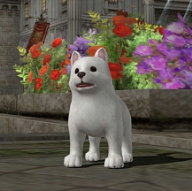 ���������꡼ No.004�Υ���ͥ������ / �֥�͡�����2�ס����������ӥ�����15��ǯ��ǰ�������ߥ����Ȥ򥪡��ץ󡣤��ޤ��ޤʵ�ǰ���٥�Ȥ�����