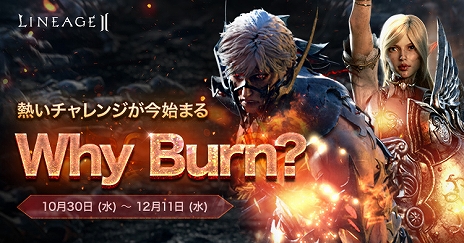 ꡼ No.008Υͥ / ֥͡2סǥ󥵡ӥ˿饹֥ǥʥȡפӥǸꥤ٥ȤⳫ