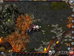 ꡼ No.003 | ֥ɡ׵ࡪڥꥪ󥸥˥ǥ꡼Ȥɲ