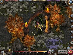 ꡼ No.005 | ֥ɡ׵ࡪڥꥪ󥸥˥ǥ꡼Ȥɲ