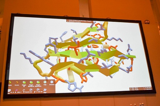 ꡼ No.002 | gamescomϡEVE Onlineפȥ󡦥󥹤νв񤤡ƥοʲǽ