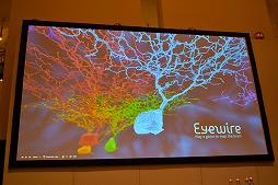 ꡼ No.004 | gamescomϡEVE Onlineפȥ󡦥󥹤νв񤤡ƥοʲǽ