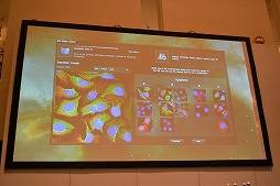 ꡼ No.011 | gamescomϡEVE Onlineפȥ󡦥󥹤νв񤤡ƥοʲǽ