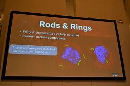 ꡼ No.012 | gamescomϡEVE Onlineפȥ󡦥󥹤νв񤤡ƥοʲǽ