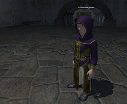 画像集#002のサムネイル/「EverQuest II」公式サイトで,GU44の最新情報が公開