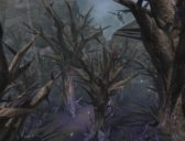 ꡼ No.006 | EverQuest IIסGame Update 63Skyshrineפ»ܡɥ饴ԻԤ˿ƥĤιάĩ⤦