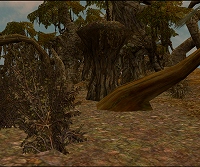 ������#002�Υ���ͥ���/�֥ץꥹ�ȥ�ơ���ס����ե�����ɡּ���줿���¡פ���������