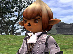 画像集#022のサムネイル/北米のFF XI ファンイベントで,踊り子のグループ2や「宝箱」の真相が明らかに